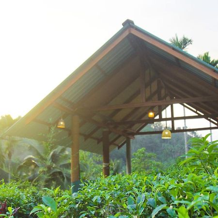 Rainforest Mount Lodge Deniyaya Zewnętrze zdjęcie