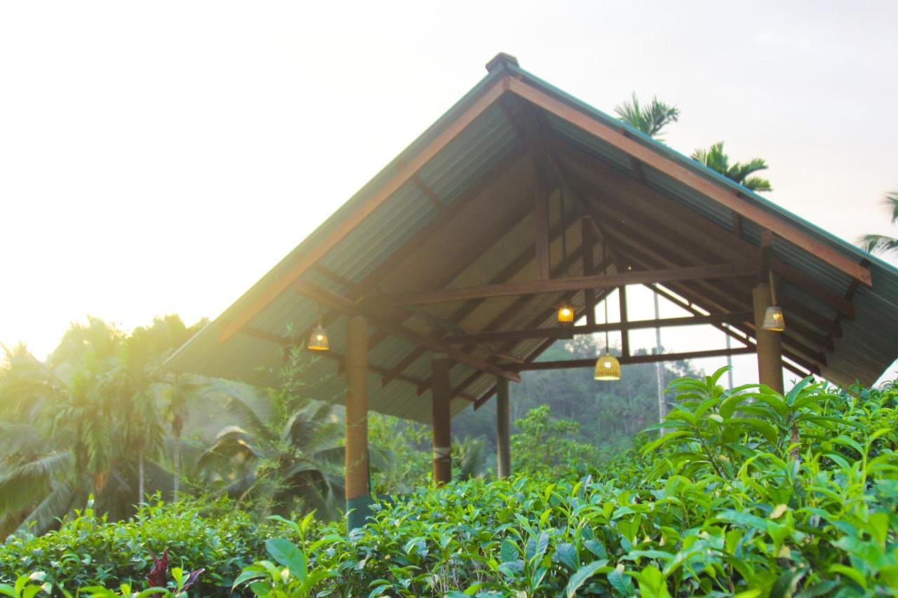 Rainforest Mount Lodge Deniyaya Zewnętrze zdjęcie