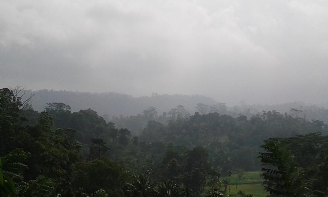 Rainforest Mount Lodge Deniyaya Zewnętrze zdjęcie