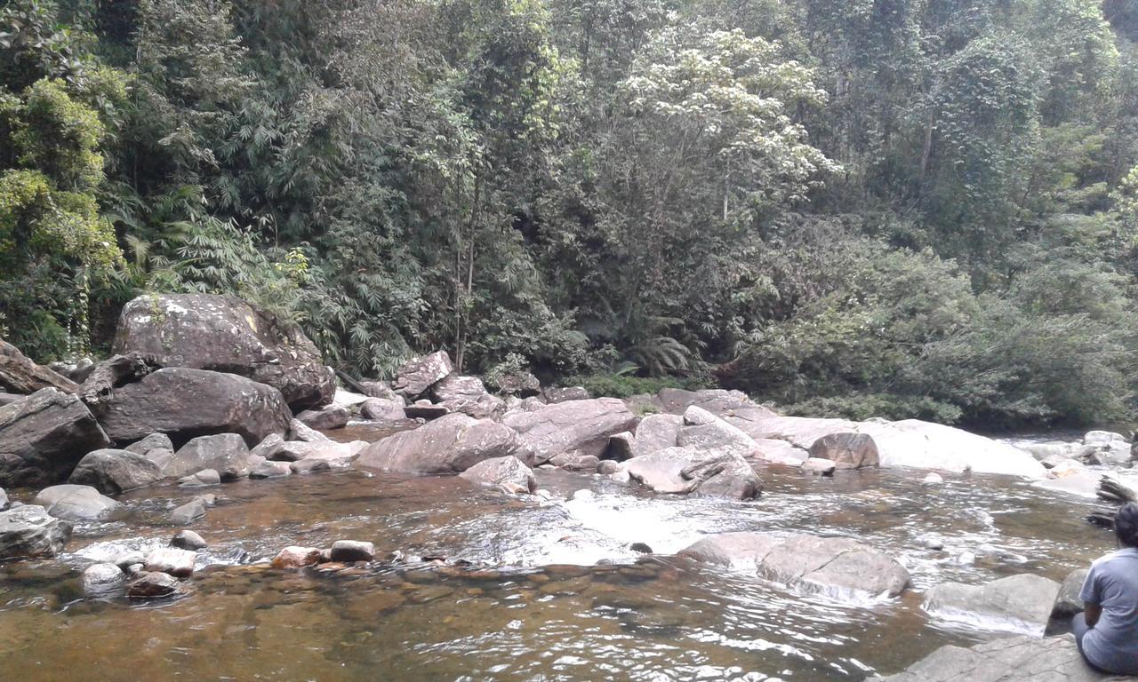 Rainforest Mount Lodge Deniyaya Zewnętrze zdjęcie