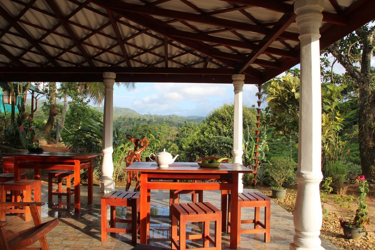 Rainforest Mount Lodge Deniyaya Zewnętrze zdjęcie