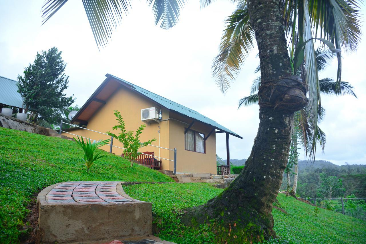 Rainforest Mount Lodge Deniyaya Zewnętrze zdjęcie