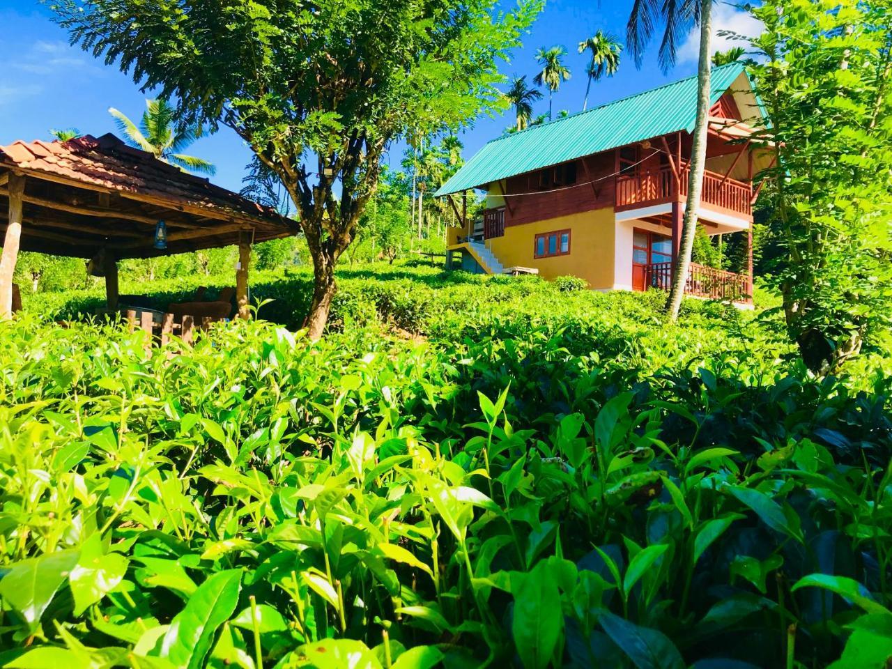 Rainforest Mount Lodge Deniyaya Zewnętrze zdjęcie