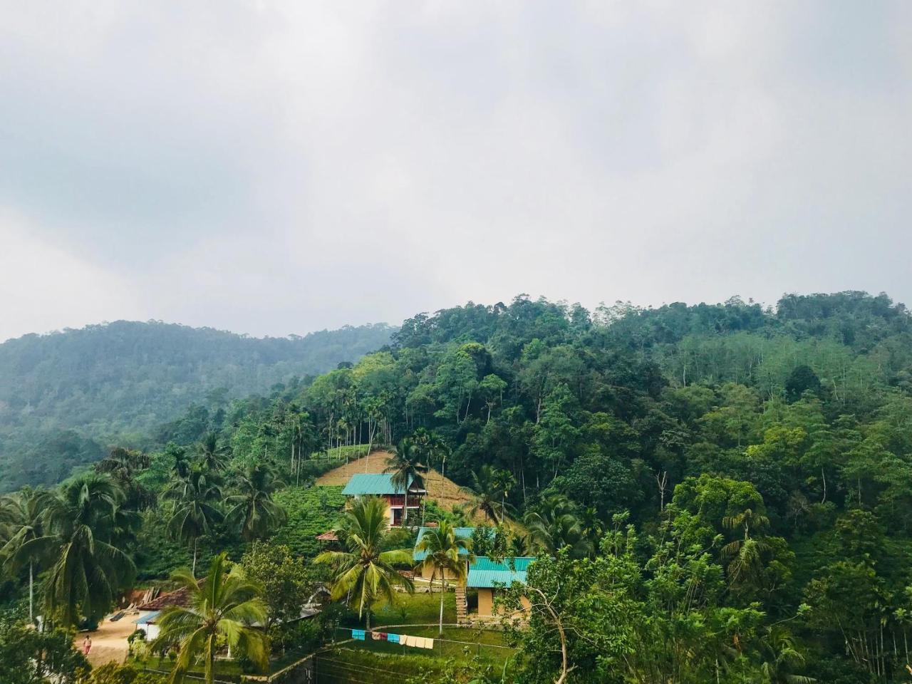 Rainforest Mount Lodge Deniyaya Zewnętrze zdjęcie