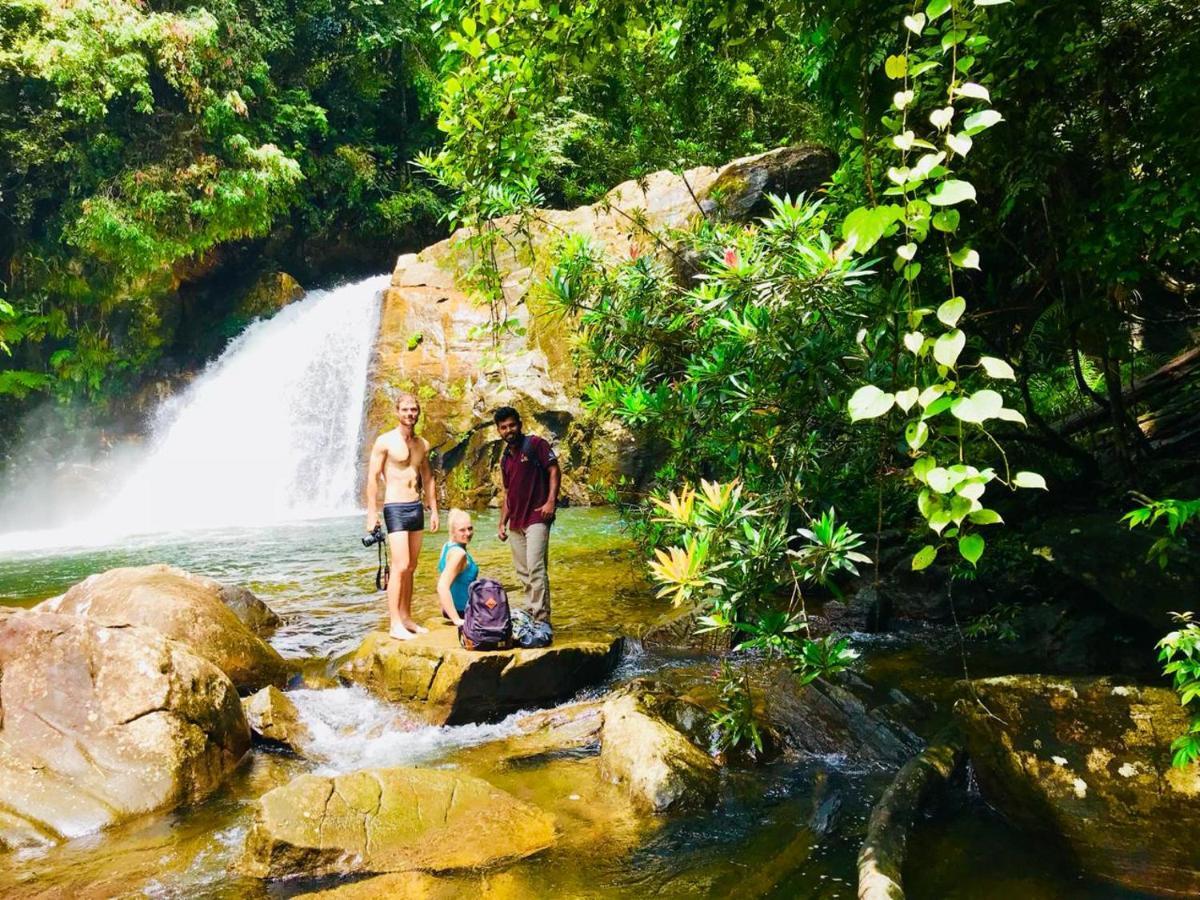 Rainforest Mount Lodge Deniyaya Zewnętrze zdjęcie