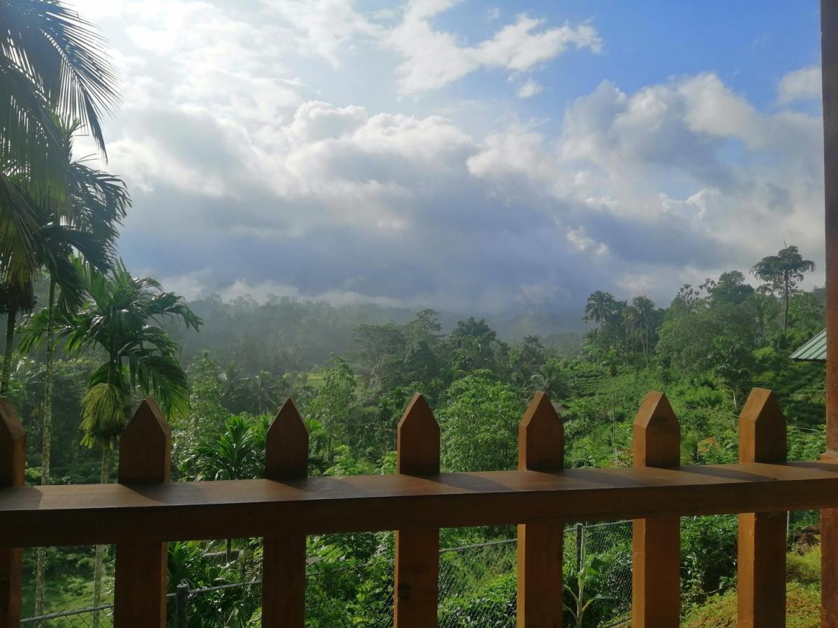 Rainforest Mount Lodge Deniyaya Zewnętrze zdjęcie